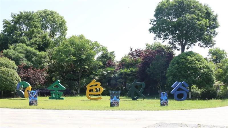 探秘金色农谷 解锁成长奇遇
