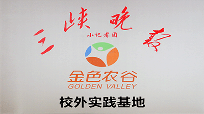 91068d38-d2b7-485a-9335-b0c664bd3c42.png