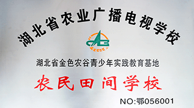 基地共建