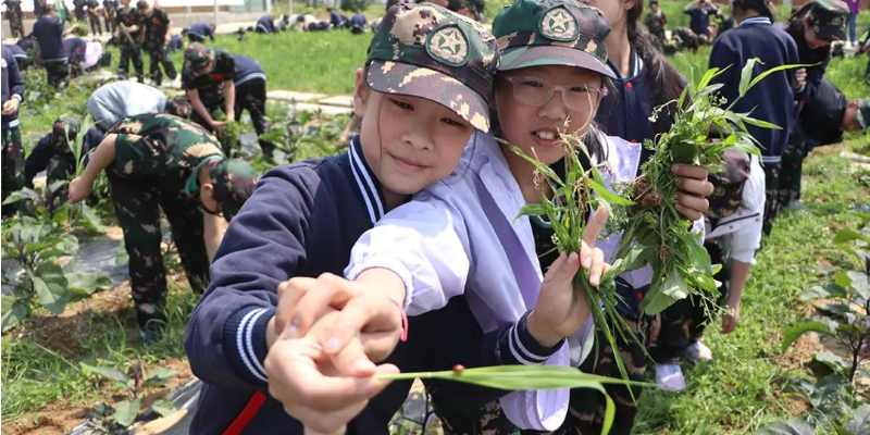 第十四周｜荆门十四校【正是春去夏将好，畅享研学好时光】研学实践活动